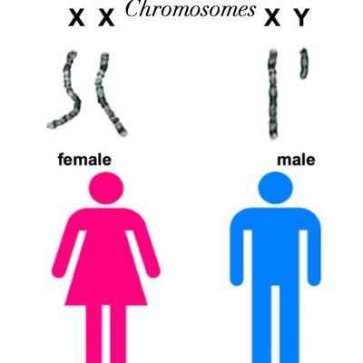 Biologyisreal1's profile picture. Biology is real