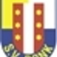 svDonk (@svdonk) 's Twitter Profile