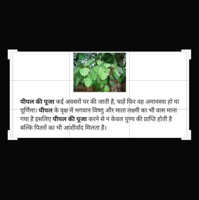 AnkushR61329254's profile picture. Ankush kumar