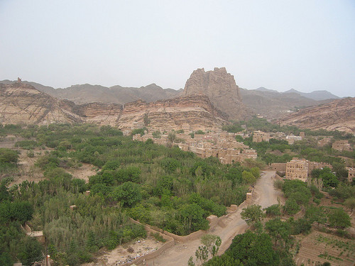 ShajedAskor Profile Picture