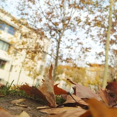 perkusa_'s profile picture. Gün gelir...