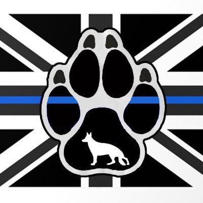 Follows anyone who follows me. #FollowBack #Brexit
Retired copper who hates PC'ness and Wokeness 
Supports our veterans and armed forces.
NO DM's