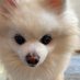 Cynthia Chan (@cynthiamania) Twitter profile photo Cynthia Chan (@cynthiamania) Twitter profile photo