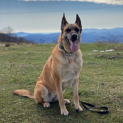 buspass49's profile picture. Keeper of the flame 🔥