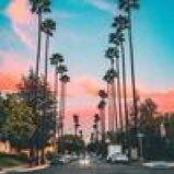 joyfulljoy00's profile picture. 