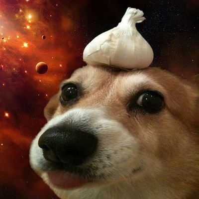 Hi, I'm a 23 year old college student. I like coding random stuff in my free time