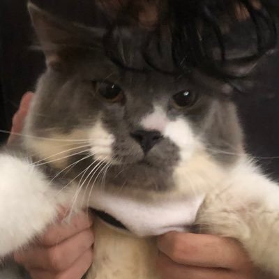 With_an_R's profile picture. ya ok