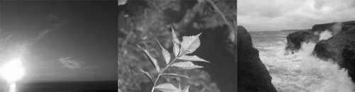 statphotography's profile picture. Sarah and Amy Thompson, Two sisters from South Yorkshire, Capturing The Moment 
http://t.co/C0lEQrVibF
http://t.co/bLWLjQKR4H