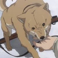 回鍋犬🥙 (@hamugutssand) 's Twitter Profile