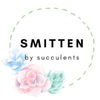 Lisa Gee (@smittenbysuccs) 's Twitter Profile