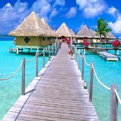 sammoni98's profile picture. 