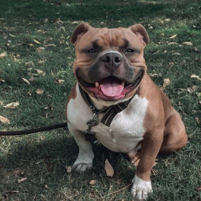 kaartik_singh's profile picture. Crypto/Equity Investor | Learning Technical Analysis