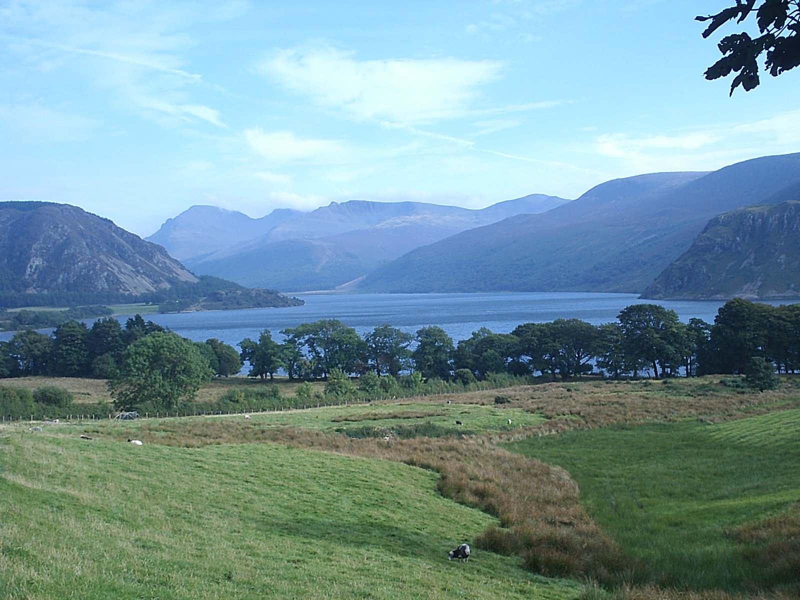 glinet's profile picture. 