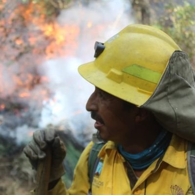 En el Centro Estatal Emergencias Contingencias Ambientales de la SDS, atendemos incendios forestales, inundaciones, derrames químicos y más. 777 326 19 71