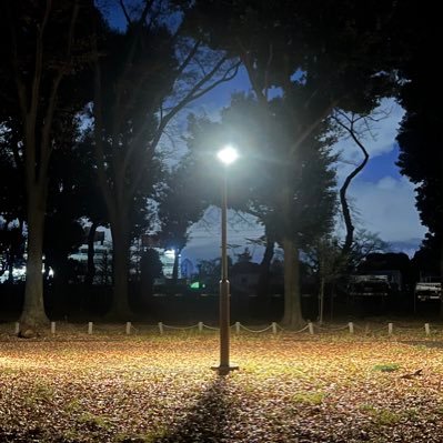 poepoepoeme's profile picture. ぽえ