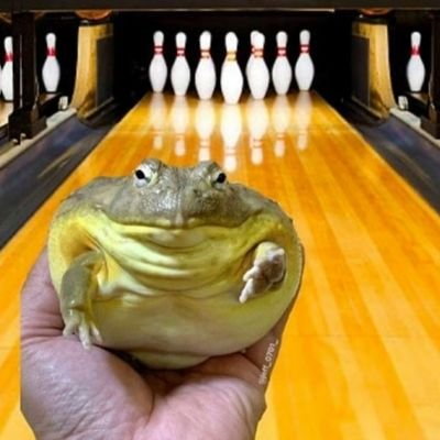 timber5O5's profile picture. 