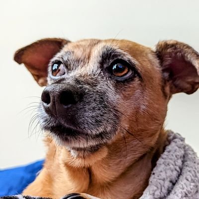 Coalesce1185's profile picture. 😎💯✌🏾🎧🌿🌊