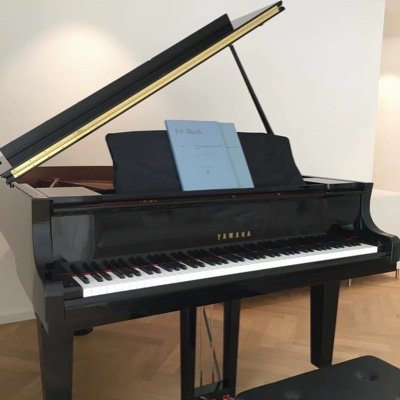 vivichunhua's profile picture. 钢琴 摄影