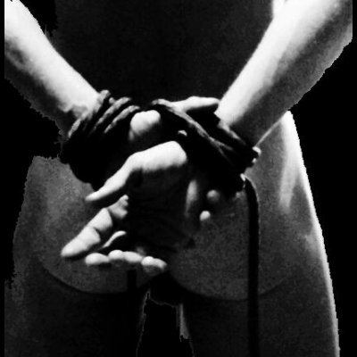 Porno-Enterrador.
Para justificar cualquier crimen, basta con convertir a la víctima en tu enemigo.