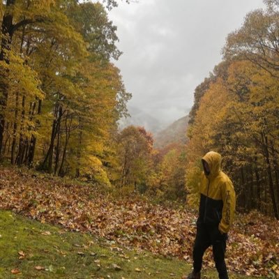 SeanMadoff's profile picture. 