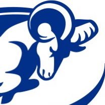 ✝️ 🇺🇸 ⚾️🏒 Always a Ram