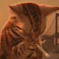buh (@uhhhhhuhhhhh) 's Twitter Profile