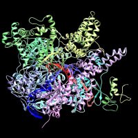 PolymeraseHase (@hasepolymerase) 's Twitter Profile
