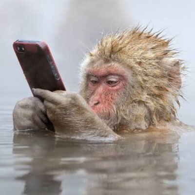mangkebiznis's profile picture. El futuro queda anulado.