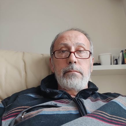 Bingolce1234's profile picture. 
