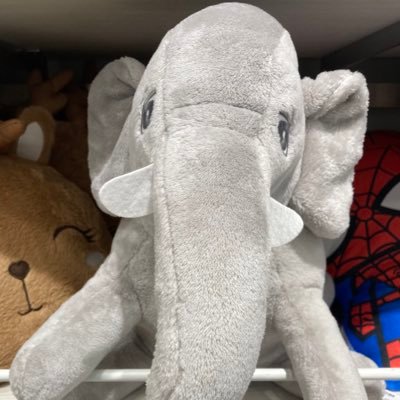 FLMA84074506's profile picture. 