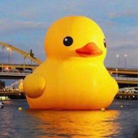 MTownsend_77's profile picture. writing happens @TPortalCFB