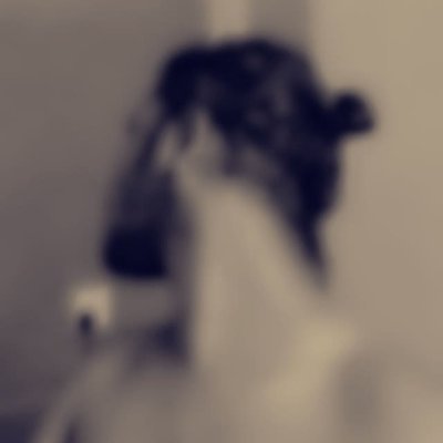 shehan_maalik's profile picture. Beyhive Academy 🐝