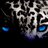 softballjaguars's profile image