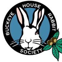 Buckeye House Rabbit Society | BHRS(@BuckeyeHRS) 's Twitter Profile Photo