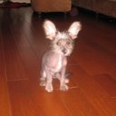 Tessa - @TessHolmes - Twitter