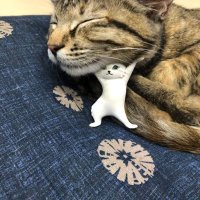nomadoのトウシロ (@nomadotakashi) 's Twitter Profile