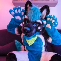 Näfel Wolf(@Nafelwolf) 's Twitter Profile Photo