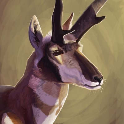 Wildlife Enthusiast & Artist - 24 He/Him - Commissions Closed