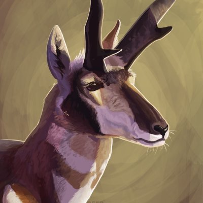 deertush.bsky.socialさんのプロフィール画像