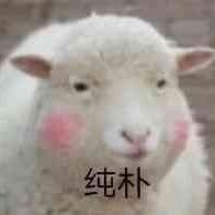 咩咩さんのプロフィール画像