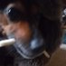 Low Burn (@santaklaush) Twitter profile photo Low Burn (@santaklaush) Twitter profile photo