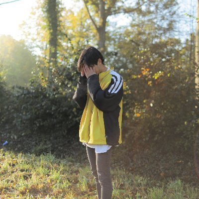 foxi ☀️🌱さんのプロフィール画像