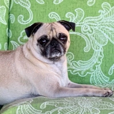 VaBunch's profile picture. 