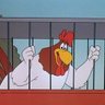 caged_rooster's profile picture. 