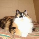 Catherine West - @Catheri73065946 - Twitter