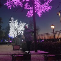 Benedetta D'Argenio (@beenedetta__) 's Twitter Profile