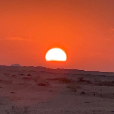 ssnn1386's profile picture. كنا في الماضي نتكلم عن المستقبل..