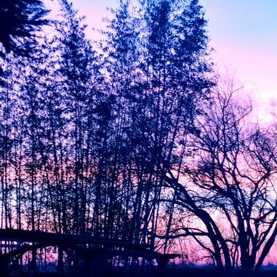 Breanna34652334's profile picture. Trekked Himalayas, canyoneered Zion, taught kayakking. Love world religions, medicine, ethics and science.  Past state medical ethics committee member.