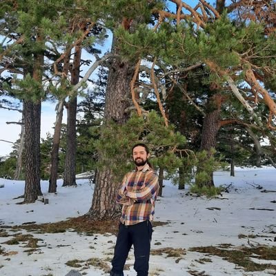 mirandaforestal's profile picture. Forestry researcher at @La_UPM