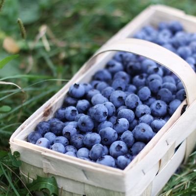 The Farm93 is born of a throwback to when owners Mike and Laura first came together in 1993 and... well obviously the farm. A ten acre blueberry farm.